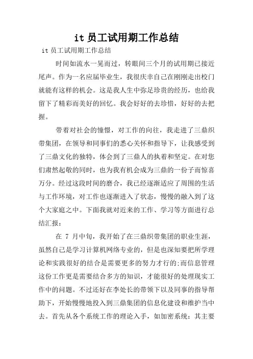 it员工试用期工作总结
