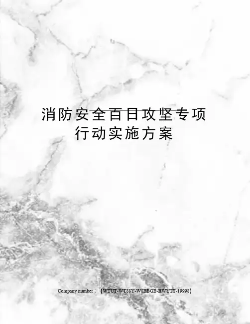 消防安全百日攻坚专项行动实施方案 2