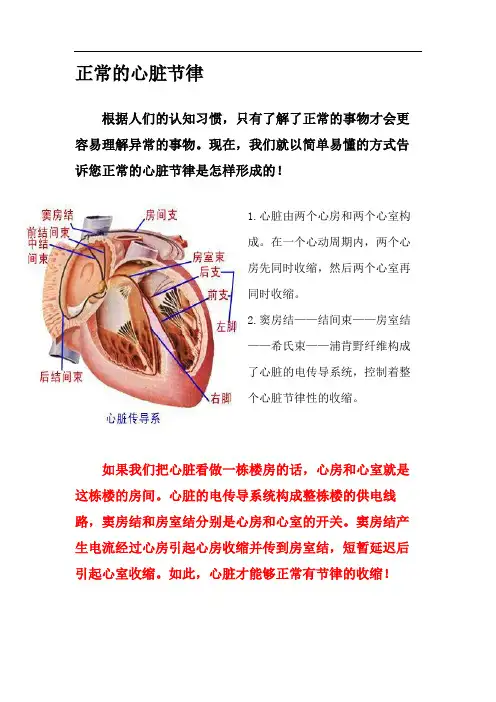 心律失常科普宣传手册