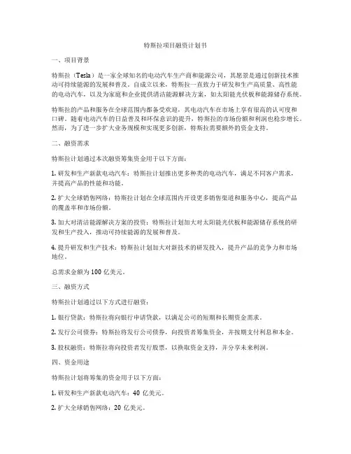 特斯拉项目融资计划书