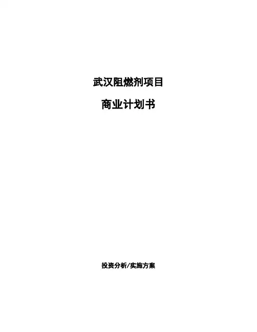 武汉阻燃剂项目商业计划书