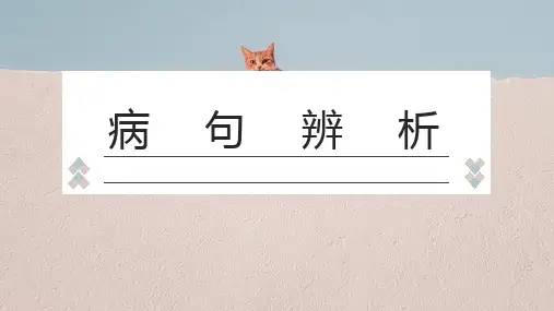 初中病句辨析及修改PPT课件