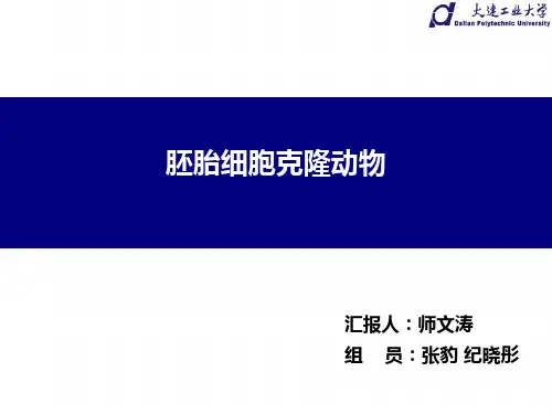 胚胎细胞克隆动物