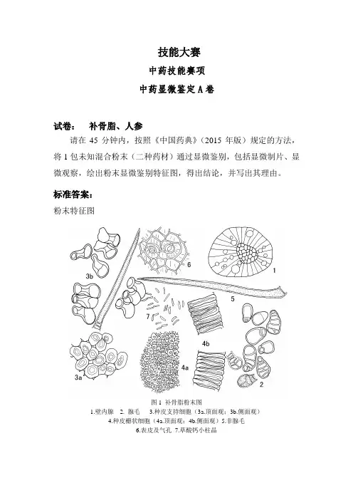 中药显微鉴定A卷-3