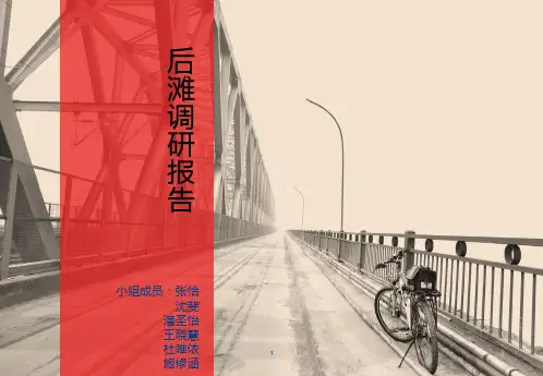 后滩调研报告PPT课件