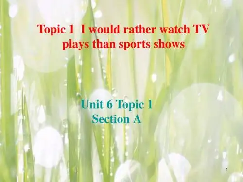 九年级英语下册Unit 6 Entertainment and Friendship Topic 1 Section A 湘教版