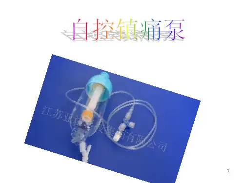 镇痛泵PPT课件