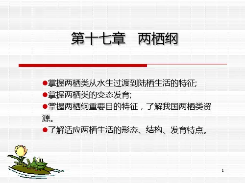 4_两栖类