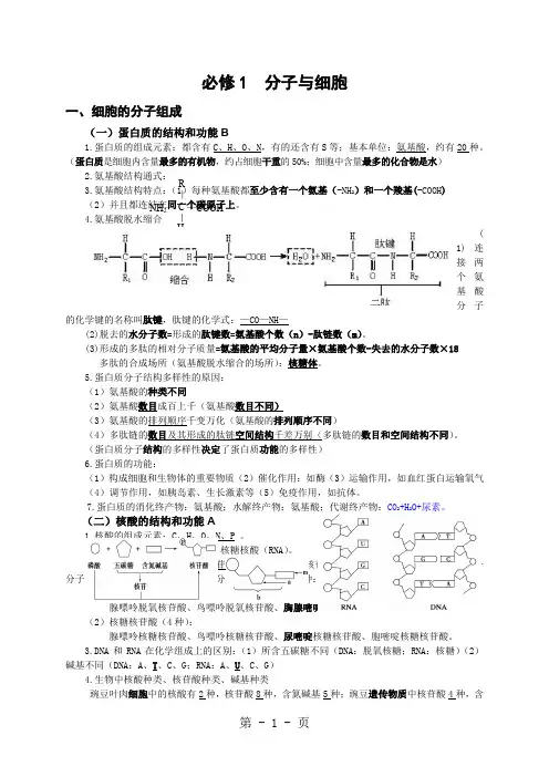 高中生物必修1   分子与细胞   基础知识点归纳共14页word资料