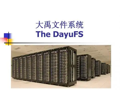 大禹文件系统介绍(7.16)