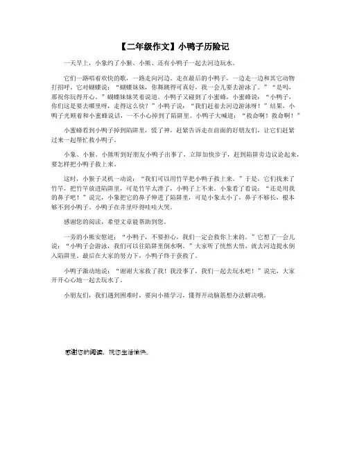 【二年级作文】小鸭子历险记