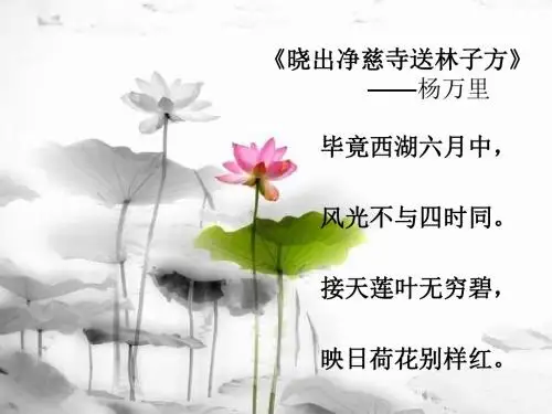 夏 梁衡