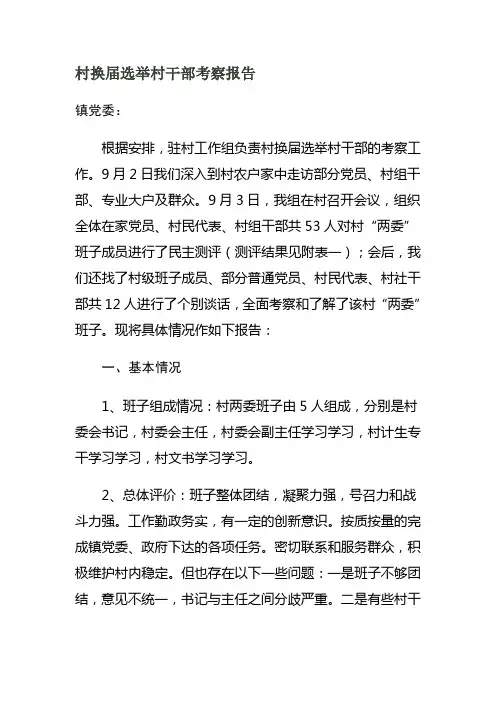 村换届选举村干部考察报告