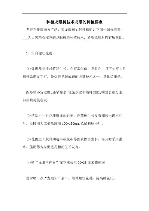 种植龙眼树技术龙眼的种植要点