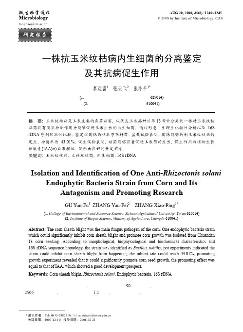一株抗玉米纹枯病内生细菌的分离鉴定及其抗病促生作用