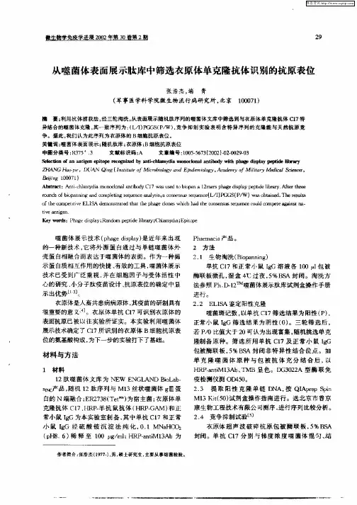 从噬菌体表面展示肽库中筛选衣原体单克隆抗体识别的抗原表位