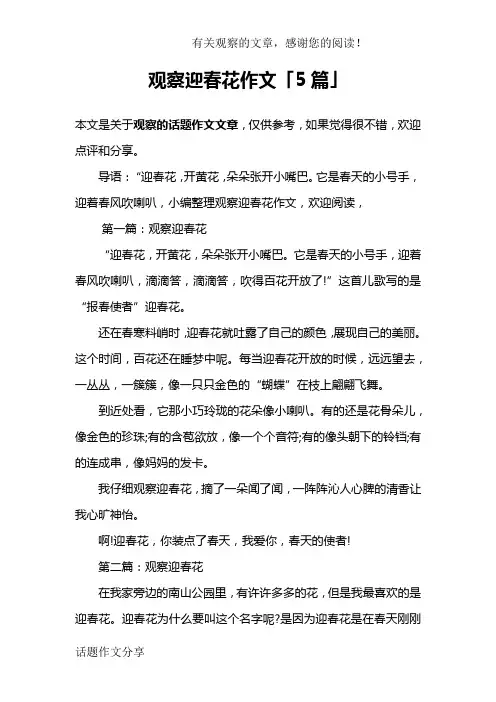 观察迎春花作文「5篇」