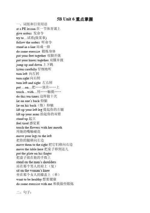 5B Unit 6-Unit 9重点掌握