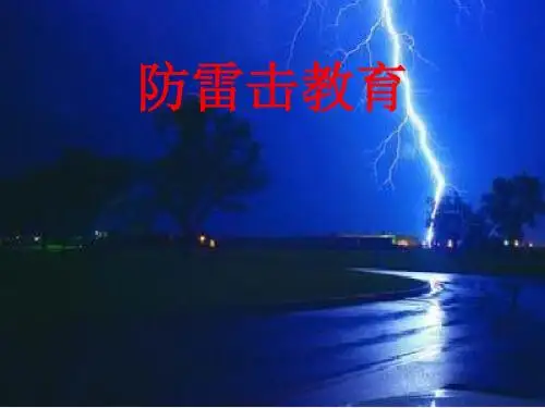 最新主题班队活动中队活动防雷击教育主题班会课课件精品PPT课件