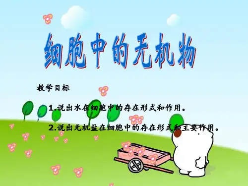 细胞中的无机物 ppt课件