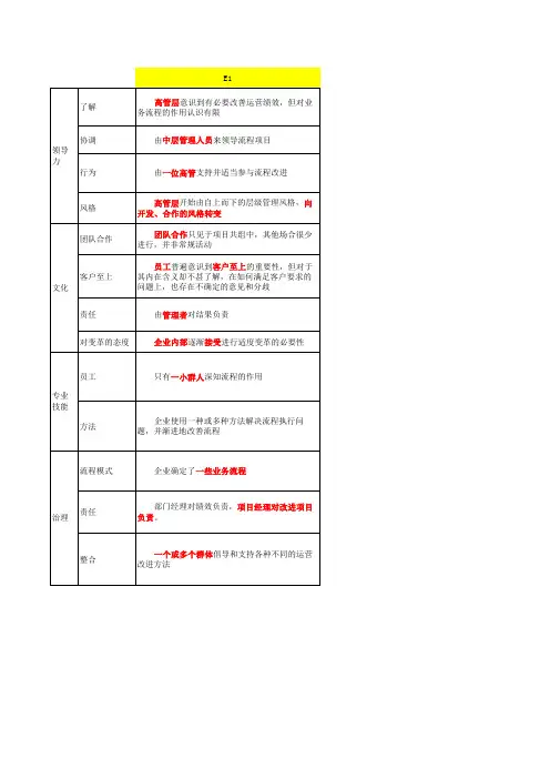 企业管理成熟度模型