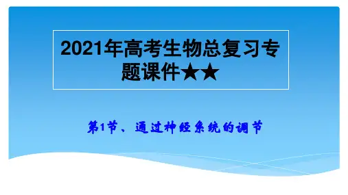 2021年高考生物总复习专题课件★★通过神经系统的调节复习课