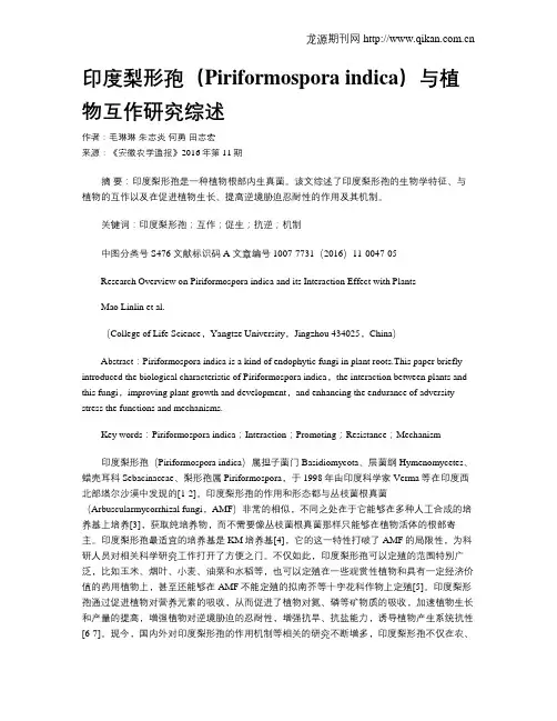 印度梨形孢(Piriformospora indica)与植物互作研究综述