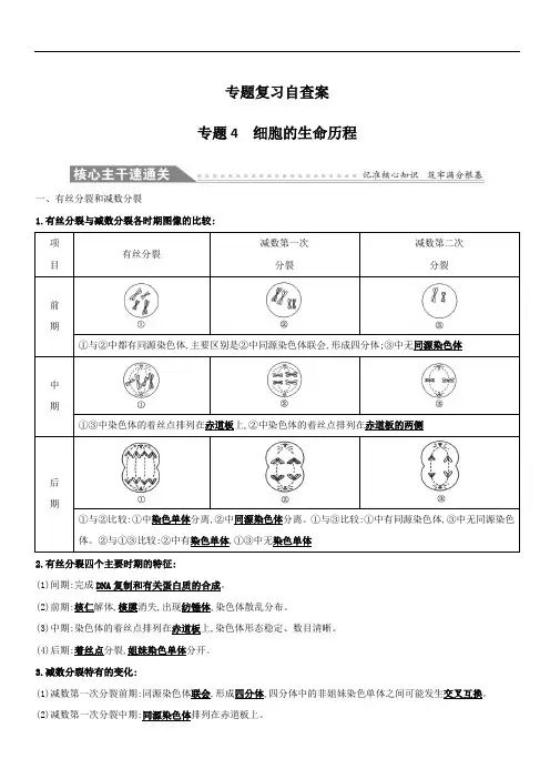 2019版高考生物二轮复习练习：专题四 细胞的生命历程 专题复习自查案 专题4 (含答案)