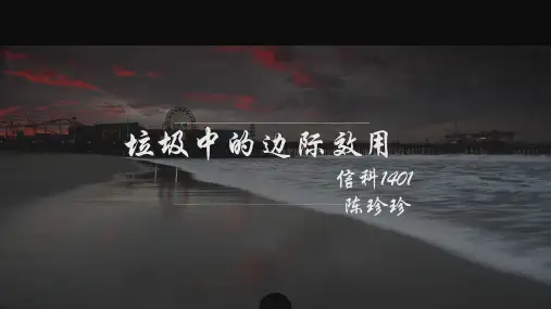 微观经济学案例分析
