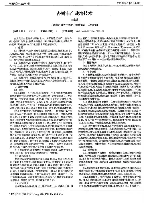 杏树丰产栽培技术