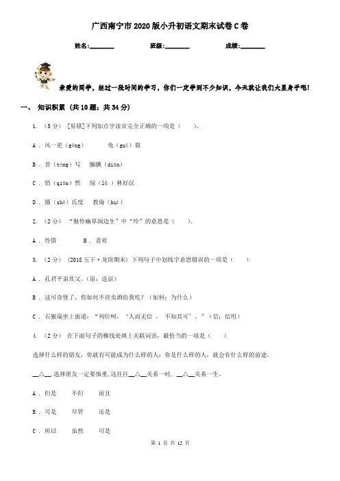 广西南宁市2020版小升初语文期末试卷C卷(考试)