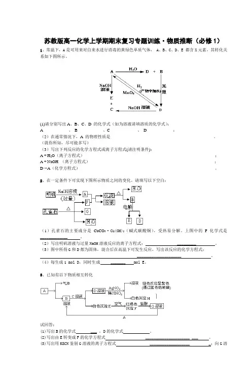 苏教版高一化学上学期期末复习专题训练·物