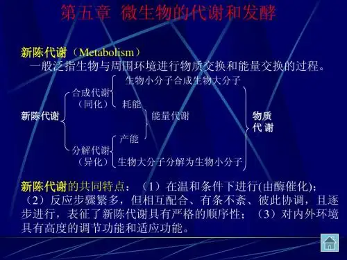 11-第三章 微生物的新陈代谢2