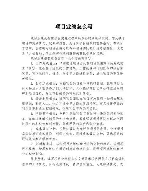 项目业绩怎么写