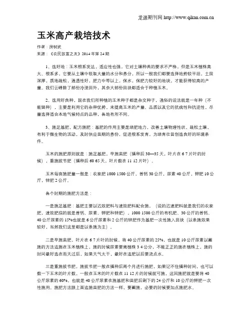 玉米高产栽培技术 2