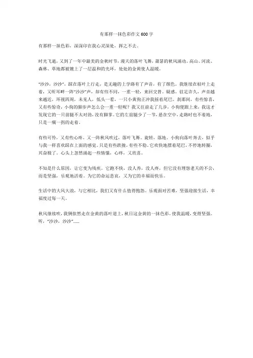 有那样一抹色彩作文600字_1(优秀作文)