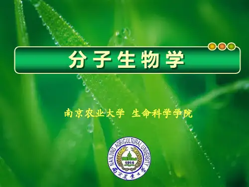 南京农业大学分子生物学 (10)