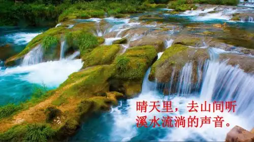 部编版三年级上册语文16 金色的草地