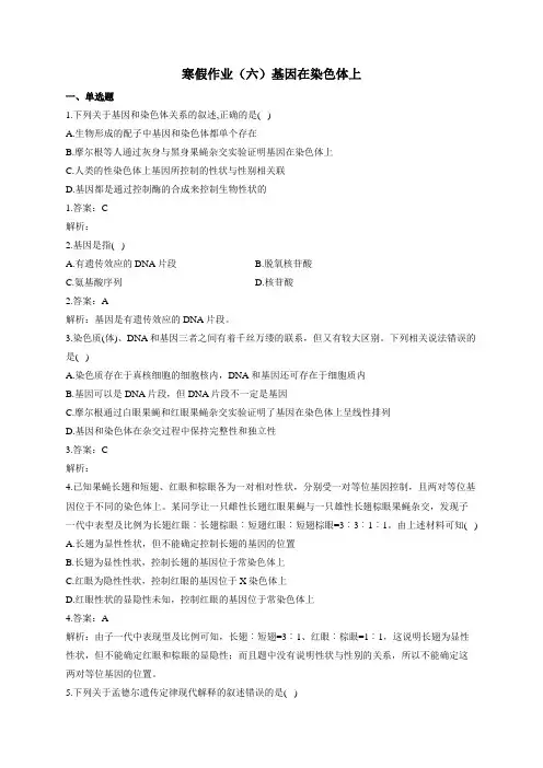 2021年高中生物必修二(2019人教版)寒假作业六(解析版)