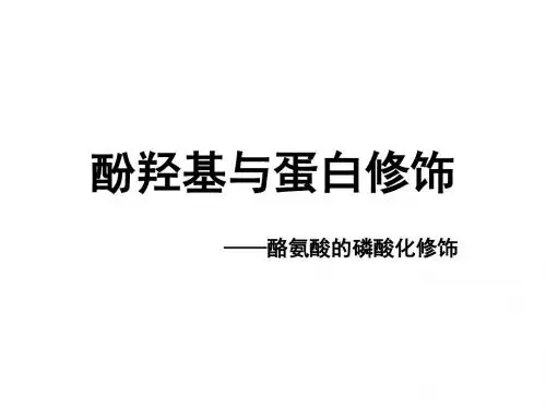 酚羟基与蛋白修饰(1992年诺贝尔奖)概论