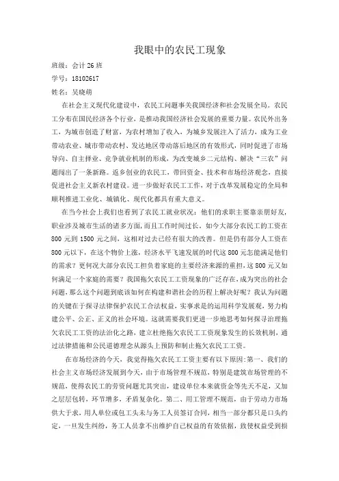 我眼中的农民工现象