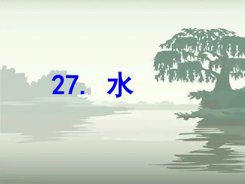 苏教版五年级语文下册第27课《水》