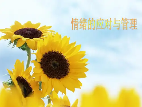 大学生情绪的控制与调节PPT课件
