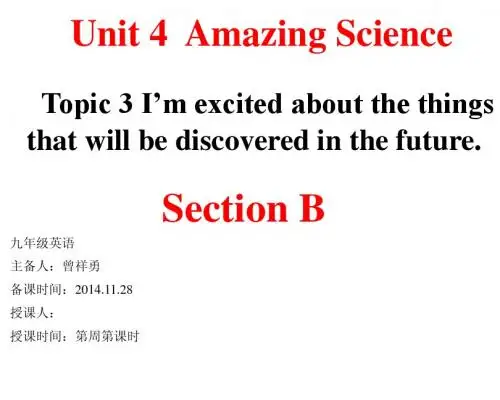 仁爱9年级U4T2S B