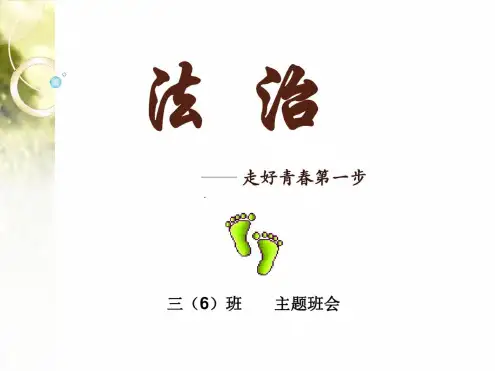 法治-主题班会PPT