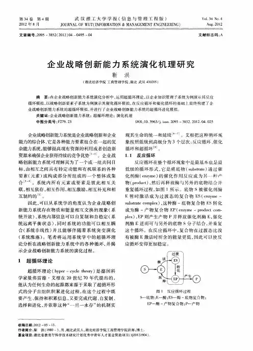 企业战略创新能力系统演化机理研究
