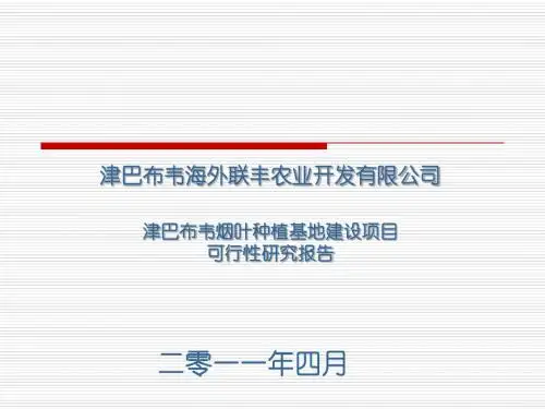 津巴布韦烟草可研