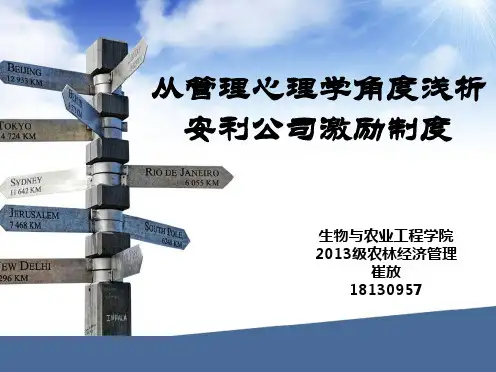 安利公司激励制度教程文件