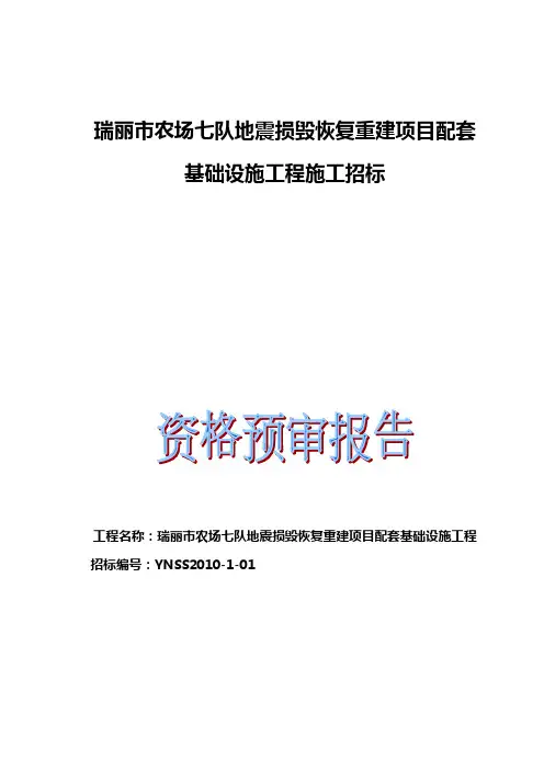 资格预审报告
