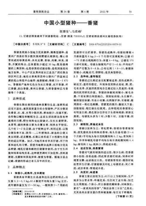中国小型猪种——香猪